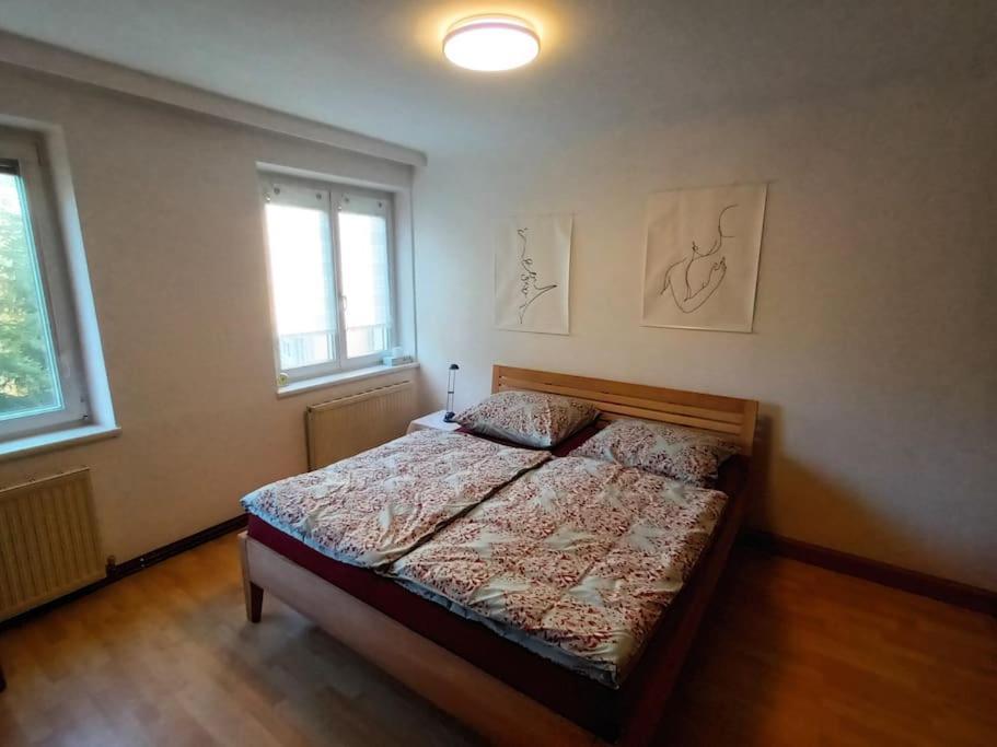 Modernes Apartment In Wien المظهر الخارجي الصورة
